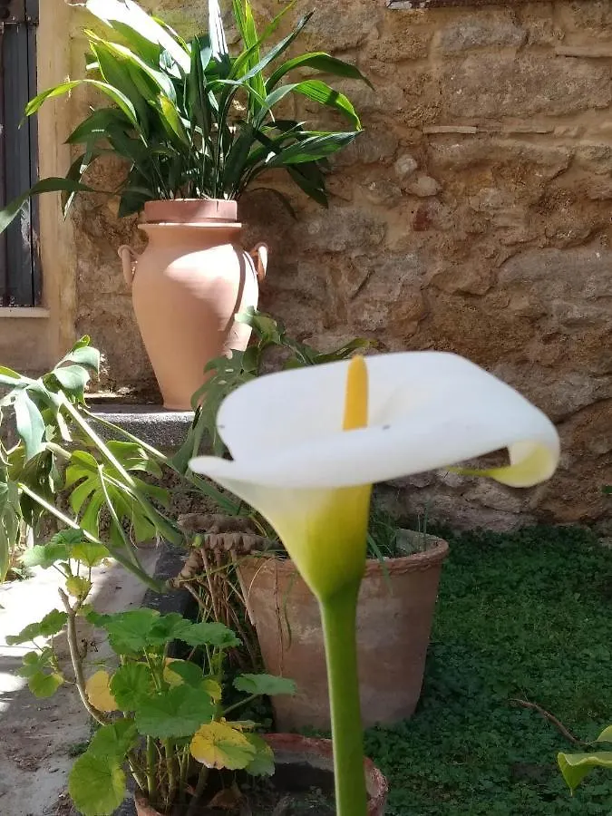 Giardinetto Papale, Centralissimo Caltagirone Apartmán