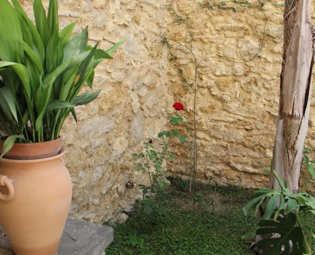 Giardinetto Papale, Centralissimo Caltagirone